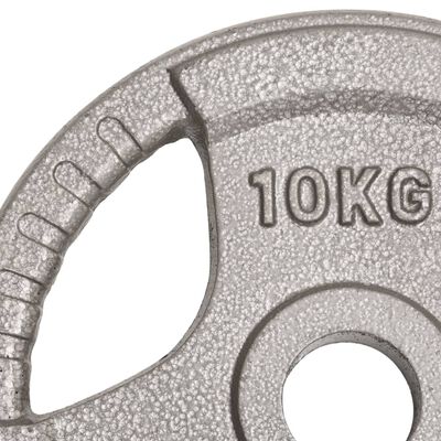 vidaXL Olympische Hantelscheiben 2 Stk. 20 kg Gusseisen