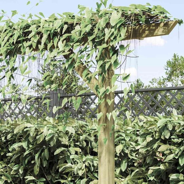 Produktbild 4 von 11 anzeigen