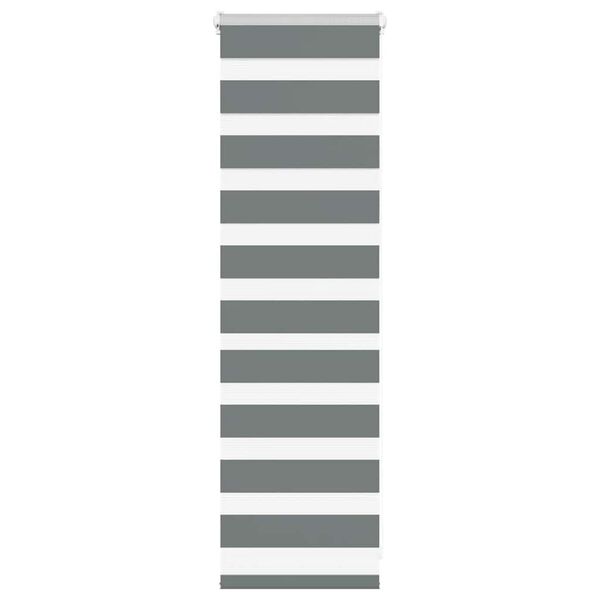 vidaXL Doppelrollo Dunkelgrau 40x100 cm Stoffbreite 35,9 cm Polyester