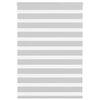 vidaXL Doppelrollo Hellgrau 100x150 cm Stoffbreite 95,9 cm Polyester