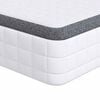 vidaXL Matratze 2 stk. Mittelweich 70 x 190 cm Wei&szlig; und Grau