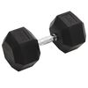 vidaXL Kurzhantel 30 kg Gusseisen