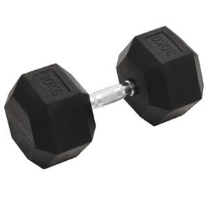 vidaXL Kurzhantel 30 kg Gusseisen