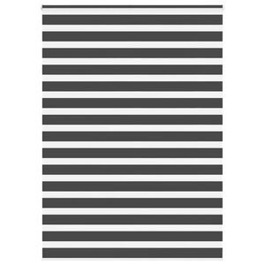 vidaXL Doppelrollo Schwarz 160x230 cm Stoffbreite 155,9 cm Polyester