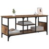vidaXL TV-Schr&auml;nk Altholz 100 x 35 x 45 cm Verbundholz und Eisen