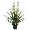vidaXL K&uuml;nstliche Cymbidium Orchideenpflanze mit Topf 100 cm Gr&uuml;n