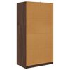 vidaXL Schrank Braun Eichen-Optik 79,5 x 49 x 156 cm Holzwerkstoff