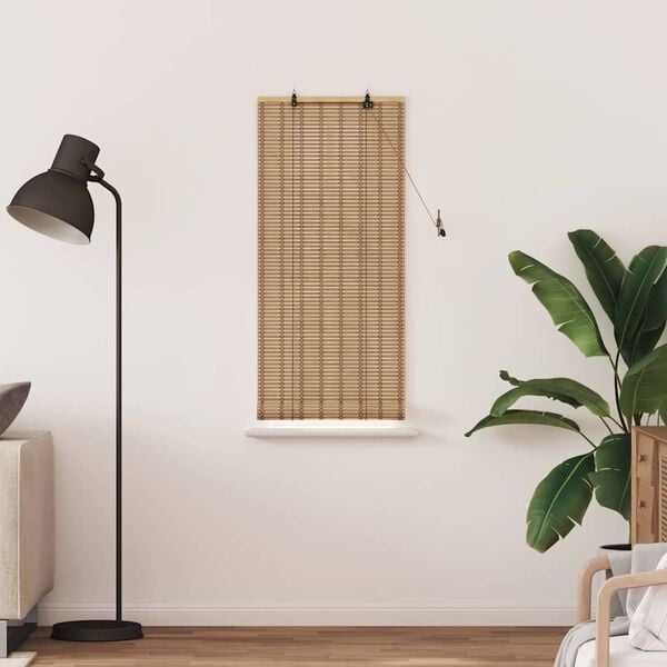 vidaXL Rollo mit Vorh&auml;ngen Natur 60 x 160 cm Bambus