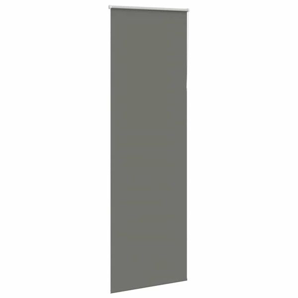 vidaXL Verdunkelungsrollo Grau 65x210 cm Stoffbreite 60,7 cm Polyester