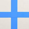 vidaXL Aufblasbare Gymnastikmatte mit Pumpe 60x100x10 cm PVC Blau
