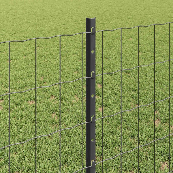 Produktbild 4 von 13 anzeigen