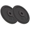 vidaXL Hantelscheiben 2 Stk. 2x10 kg Gusseisen