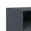 vidaXL TV-Schrank Anthrazit 68x39x43,5 cm Stahl