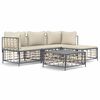 vidaXL 4-tlg. Garten-Lounge-Set mit Kissen Anthrazit Poly Rattan