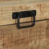 vidaXL Aufbewahrungs-Truhen Braun 60 x 30 x 30 cm Massivholz Mango