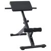 vidaXL Hyperextensionsbank Schwarz 100,5 x 70 x 78 cm