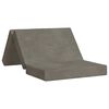 vidaXL Klappsofa Bett 80 x 67 x 45 cm Hellgrau