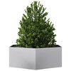 Produkt-Miniaturbild 3 von 11