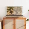 vidaXL Terrarium mit Speicher Transparent 60 x 40 x 40 cm Glas