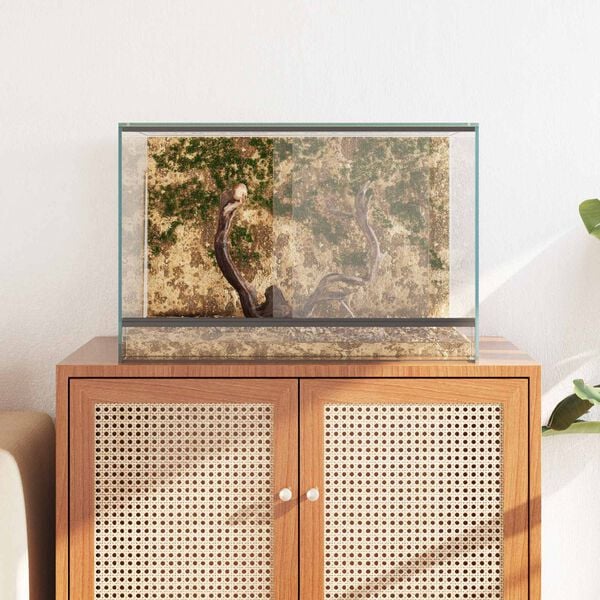 vidaXL Terrarium mit Speicher Transparent 60 x 40 x 40 cm Glas