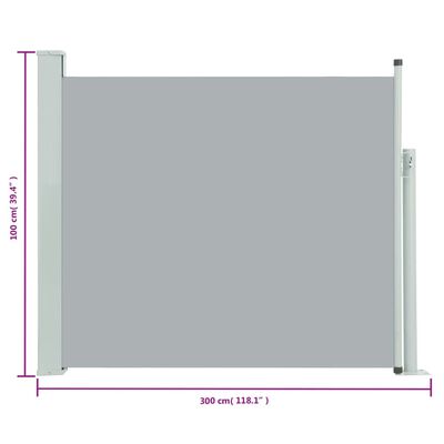vidaXL Ausziehbare Seitenmarkise 100x300 cm Grau