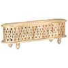 vidaXL TV-Schrank 120×30×40 cm Massivholz Mango