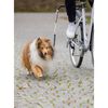 TRIXIE Fahrrad-Hundeleine Set Schwarz 1287
