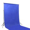 vidaXL Fotostudio-Set mit Lampen und Hintergr&uuml;nden