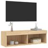 vidaXL TV-Schrank mit LED-Leuchten Sonoma-Eiche 100x30x30 cm