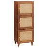 vidaXL Hohes brett Braun 40 x 33,5 x 110 cm Massivholz Mango