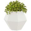 Produkt-Miniaturbild 3 von 11