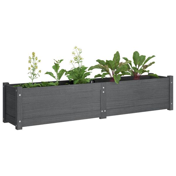 vidaXL Garten-Hochbeet Grau 150x31x31 cm Massivholz Kiefer