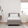 vidaXL Boxspringbett mit Matratze Taupe 100 x 200 cm Stoff