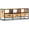 vidaXL TV-Schrank 120x30x45 cm Massivholz Mango