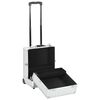 vidaXL Kosmetik-Trolley 35&times;29&times;45 cm Silbern Aluminium