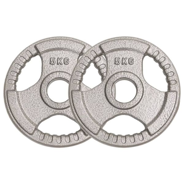 vidaXL Olympische Hantelscheiben 2 Stk. 10 kg Gusseisen