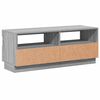 vidaXL TV-Schrank mit LED-Leuchten Grau Sonoma 100x35x40 cm