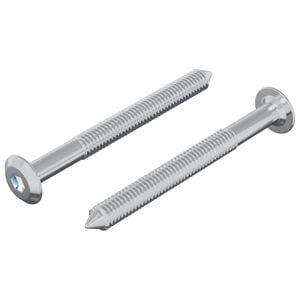 vidaXL Schraube 2 pcs Silber M6 x 60 mm Stahl