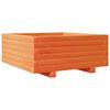 vidaXL Pflanzkübel Wachsbraun 60x60x26,5 cm Massivholz Kiefer