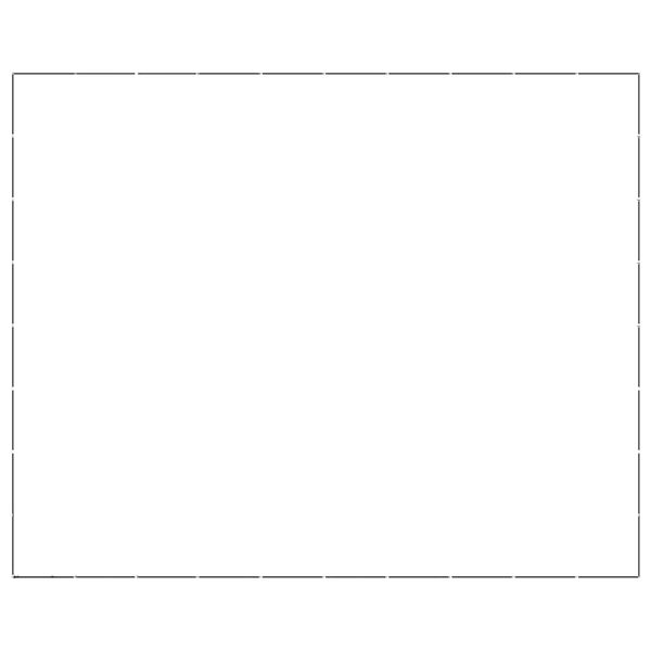 vidaXL Outdoor-Hundezwinger Stahl 73,73 m&sup2;