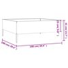 vidaXL Hochbeet 100x100x41 cm Cortenstahl