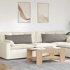 vidaXL Sofakissen 2 pcs Taupe 120 x 40 cm Stoff