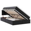 vidaXL Bett mit Stauraum und LED Schwarz 120 x 190 cm Kunstleder
