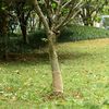 Produkt-Miniaturbild 2 von 7