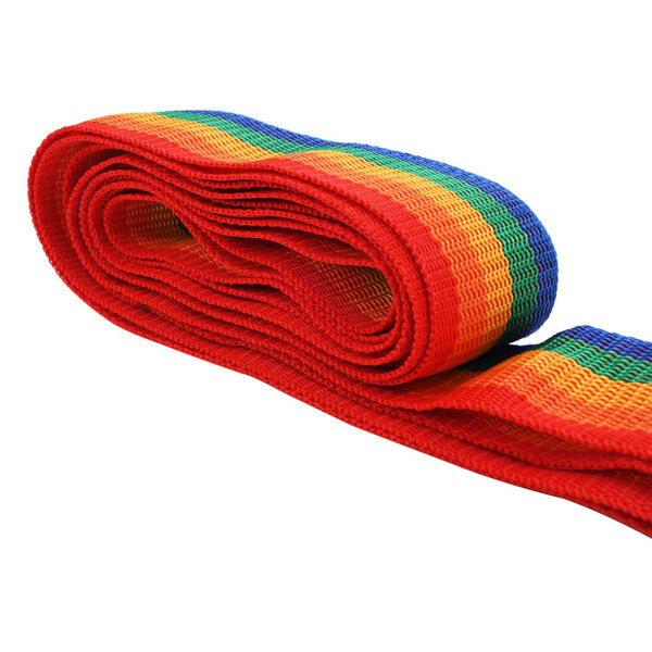 vidaXL Gep&auml;ckgurt 4,2 m