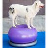 FitPAWS Fitnessball f&uuml;r Hunde TRAX Donut 55 cm Lila
