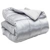 vidaXL Winterbettdecke Silber 200 x 220 cm Satin und Mikrofaser