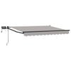 vidaXL Manuelle Gelenkarmmarkise mit LEDs 2,5 x 2 m
