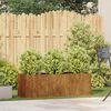 vidaXL Pflanzk&uuml;bel Rostig 120x40x40 cm Wetterfester Stahl