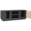 vidaXL TV-Schrank Grau 110x35x40,5 cm Massivholz Kiefer
